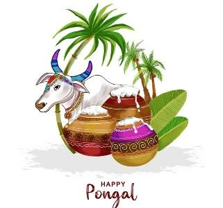 happy-pongal-south-indian-religious-festival